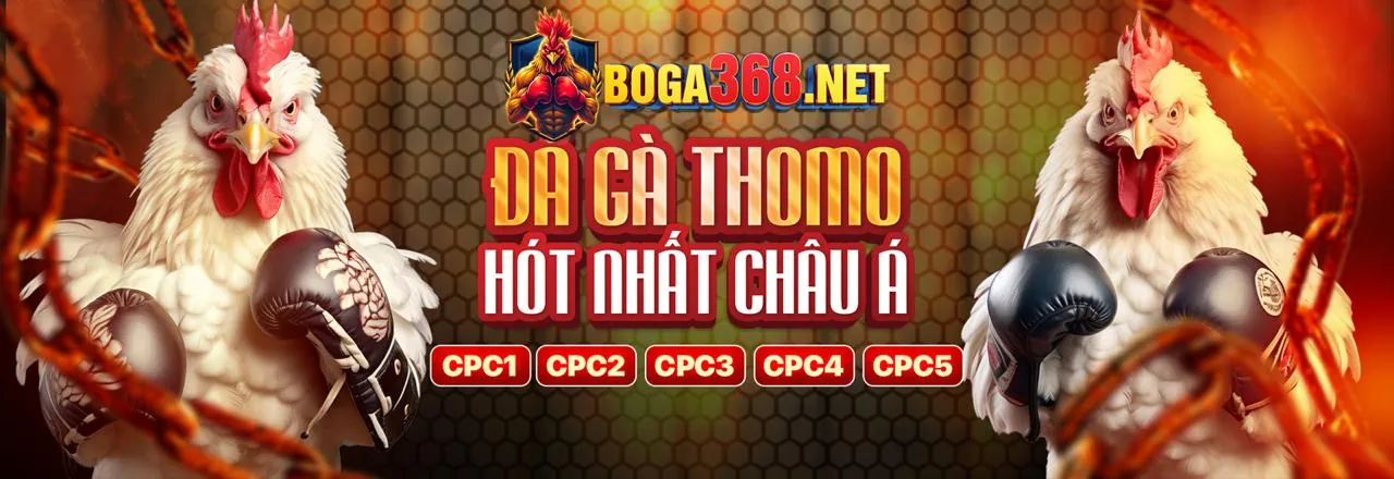 Hình ảnh chính sách Chơi Cá Cược Có Trách Nhiệm của luck8bet
